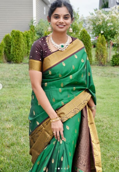 pure kanjeevaram silks